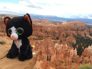 Dib Dab at Bryce Canyon