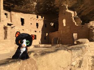 Dib Dab at Mesa Verde