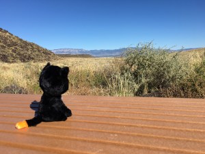 ...at the petroglyph national park