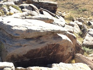 The stork and the baby story originates from Europe so we know that this is meant to be a frog!