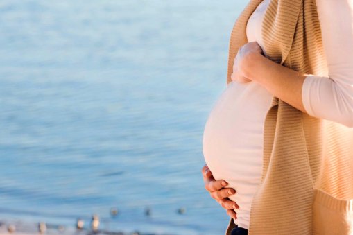 Fenning Print-12-ZF-3904-24086-1-001-032.jpg